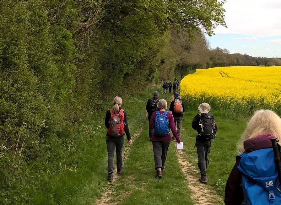 Pilgrims Way Challenge 2024 Results Kylen Regina