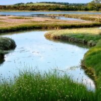 Newtown Nature Reserve