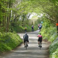 Cycle Challenge Bluebells