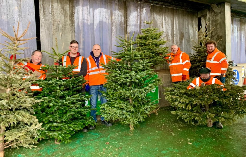 Pilgrims Christmas Tree Recycling campaign a treemendous