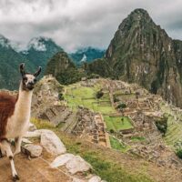 Peru 4 1