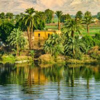 Banks of the River Nile