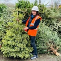 10. Tree Recycling Christmas Trees Web