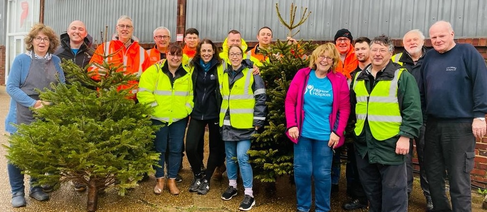 Pilgrims Hospices Christmas tree recycling initiative is a record ...