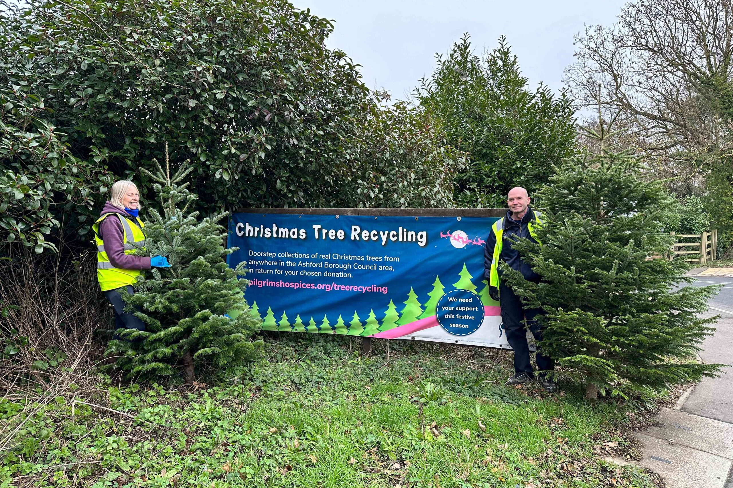 Tree Recycling 3