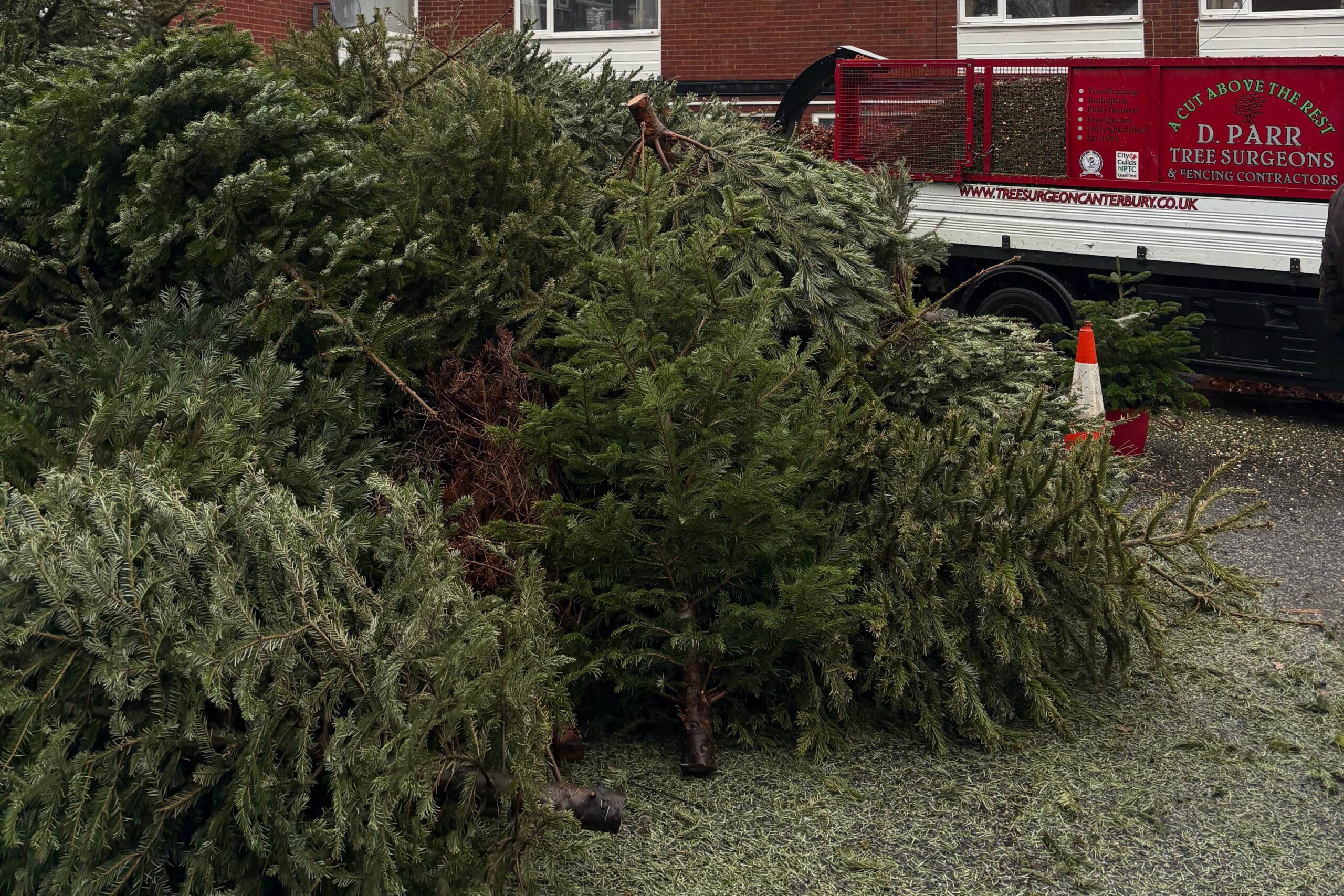 Tree Recycling 2026 2