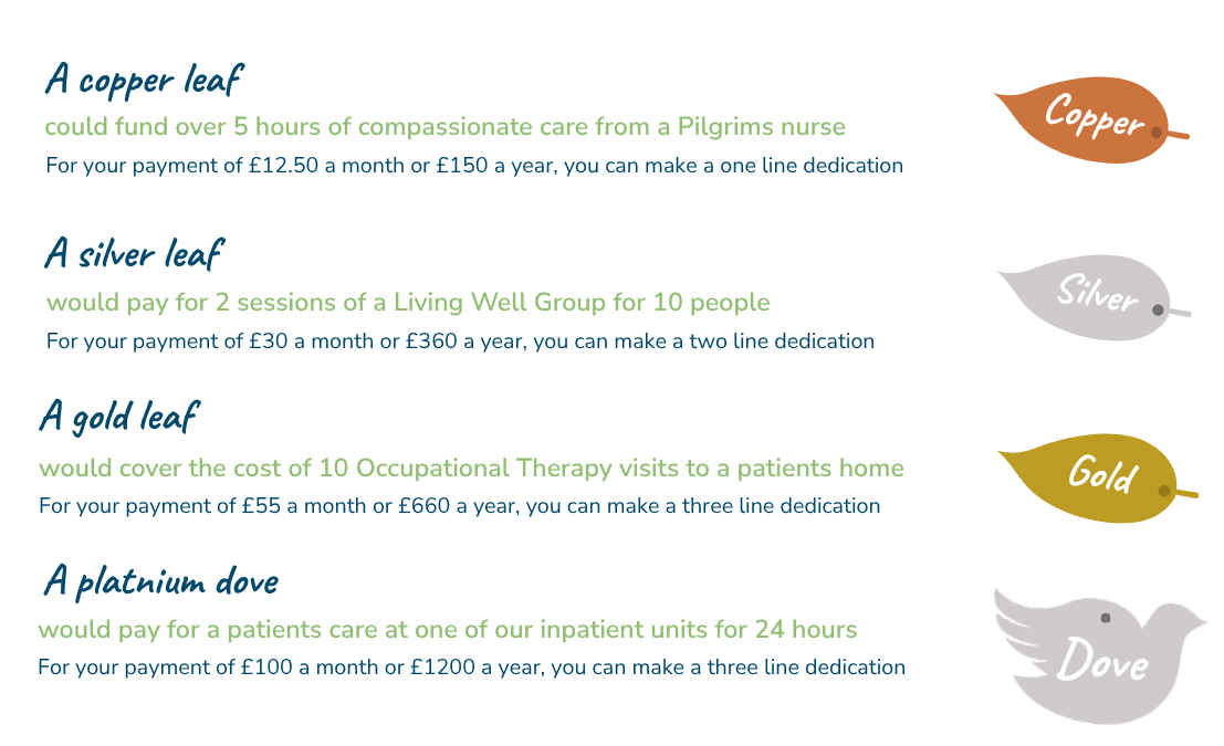 Memory Tree Website Updates March 2026 (800 X 800 Px) (1000 X 800 Px)