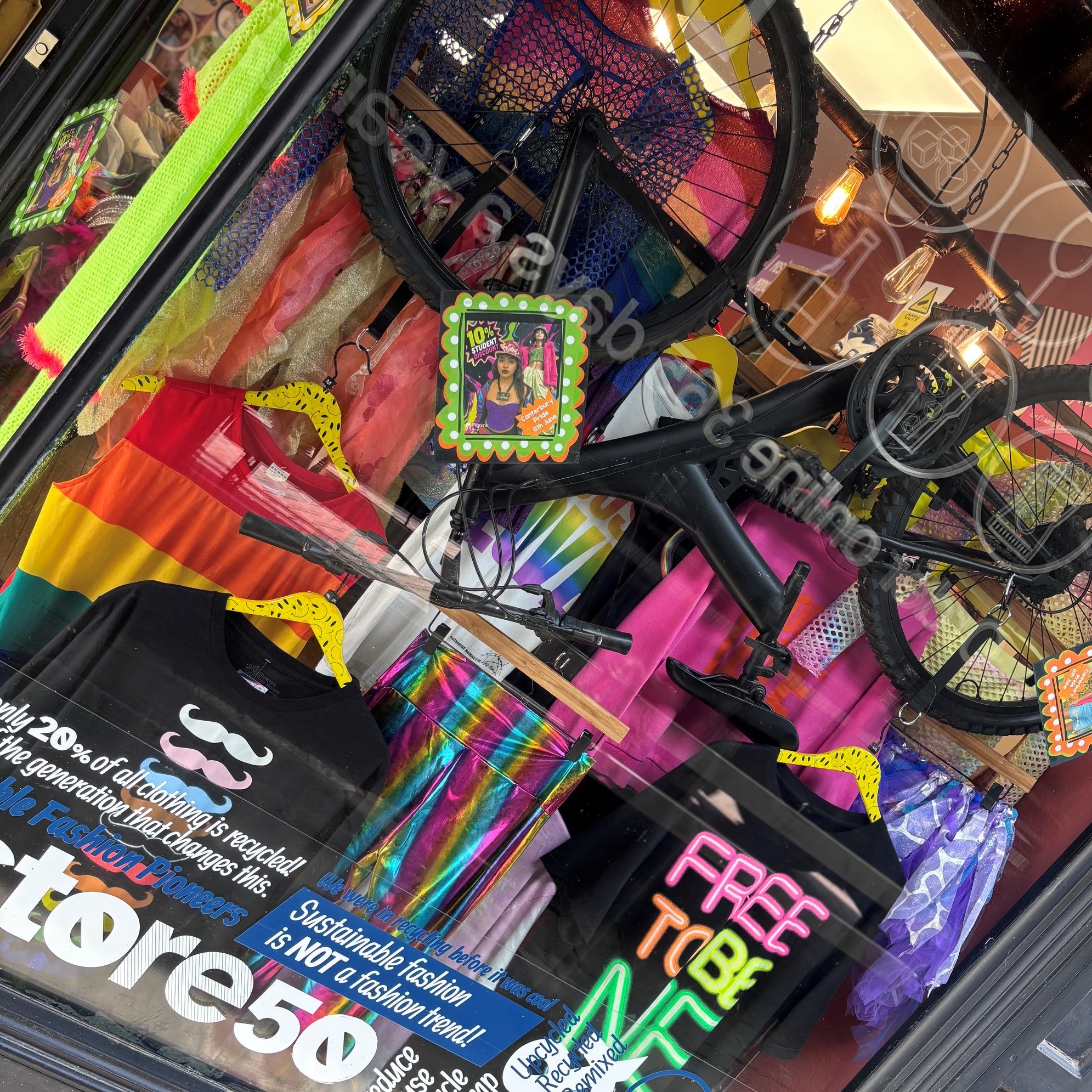 Store50 Pride 8